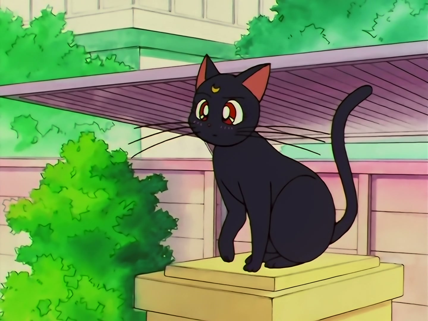 Sailor Moon Ep 133: Artemis is Cheating? Enter the Mysterious Kitten @ 00:04:08