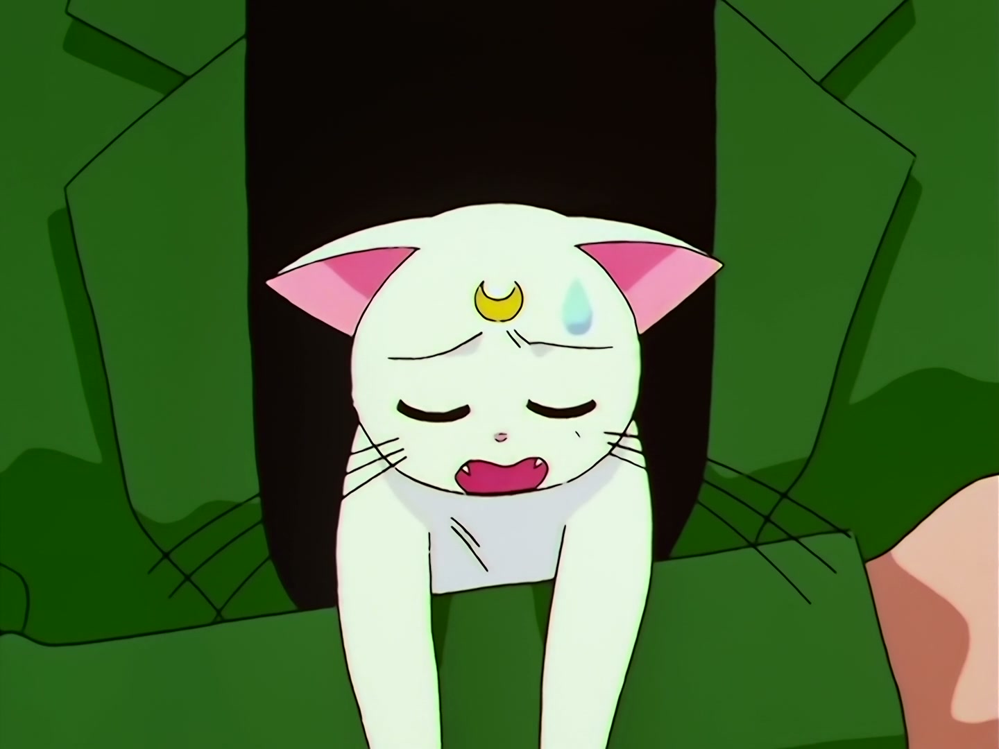 Sailor Moon Ep 133: Artemis is Cheating? Enter the Mysterious Kitten @ 00:04:29