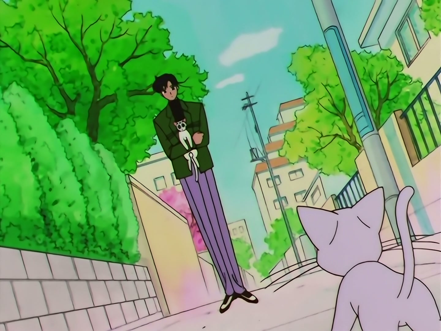 Sailor Moon Ep 133: Artemis is Cheating? Enter the Mysterious Kitten @ 00:04:51