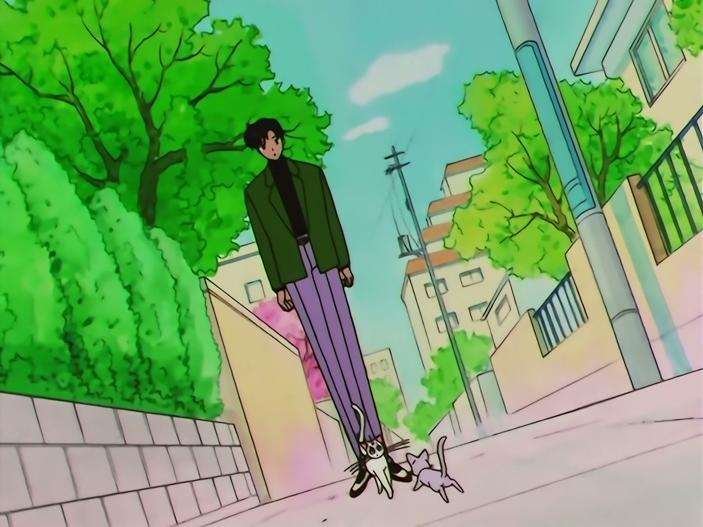 Sailor Moon Ep 133: Artemis is Cheating? Enter the Mysterious Kitten @ 00:04:55