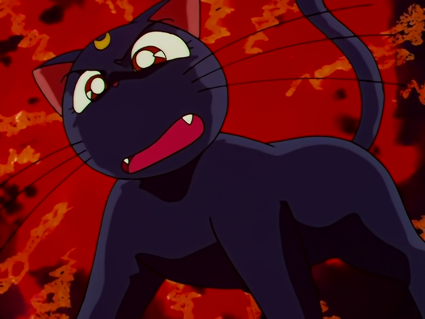 Sailor Moon Ep 133: Artemis is Cheating? Enter the Mysterious Kitten @ 00:05:16