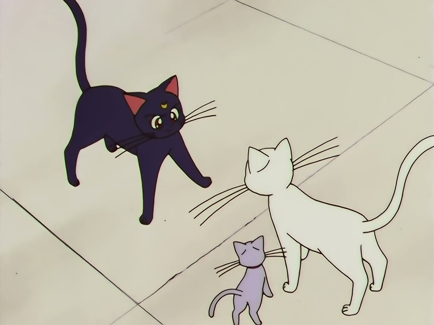 Sailor Moon Ep 133: Artemis is Cheating? Enter the Mysterious Kitten @ 00:05:21