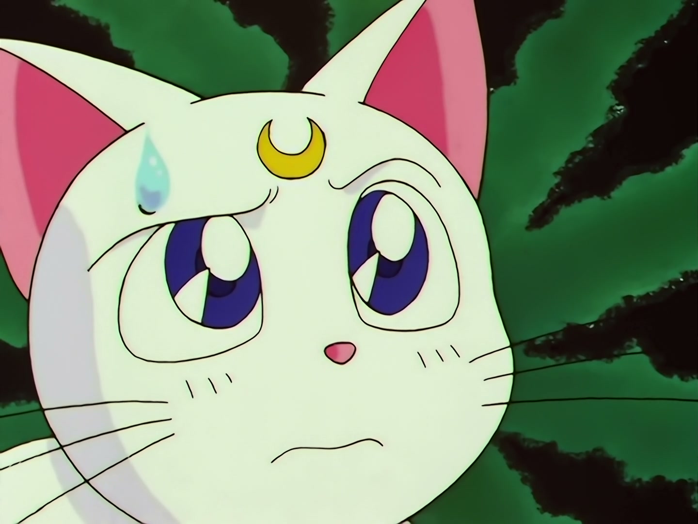 Sailor Moon Ep 133: Artemis is Cheating? Enter the Mysterious Kitten @ 00:09:29