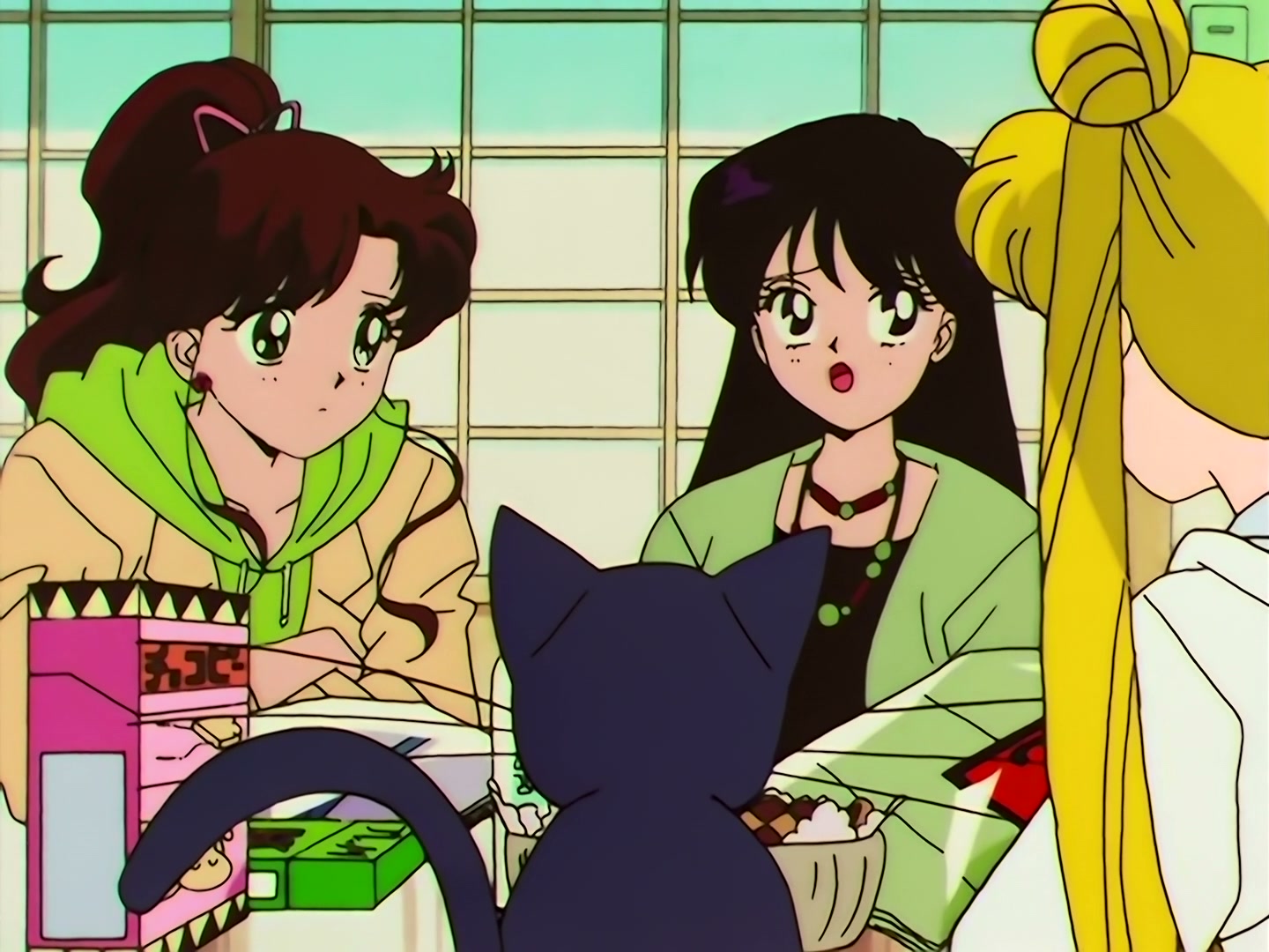 Sailor Moon Ep 133: Artemis is Cheating? Enter the Mysterious Kitten @ 00:10:46