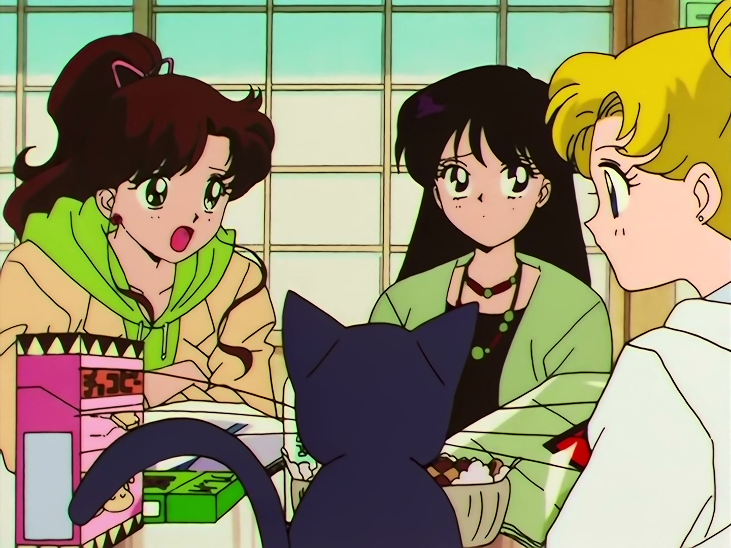Sailor Moon Ep 133: Artemis is Cheating? Enter the Mysterious Kitten @ 00:10:50