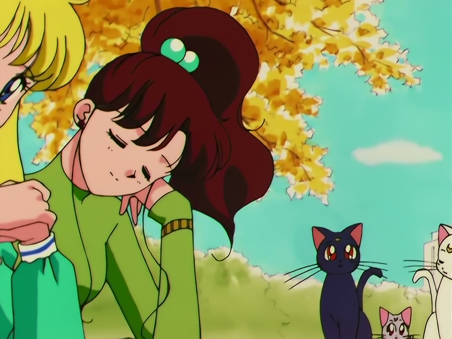 Sailor Moon Ep 151: True Power Explodes: Ami's Melody of the Heart @ 00:03:12