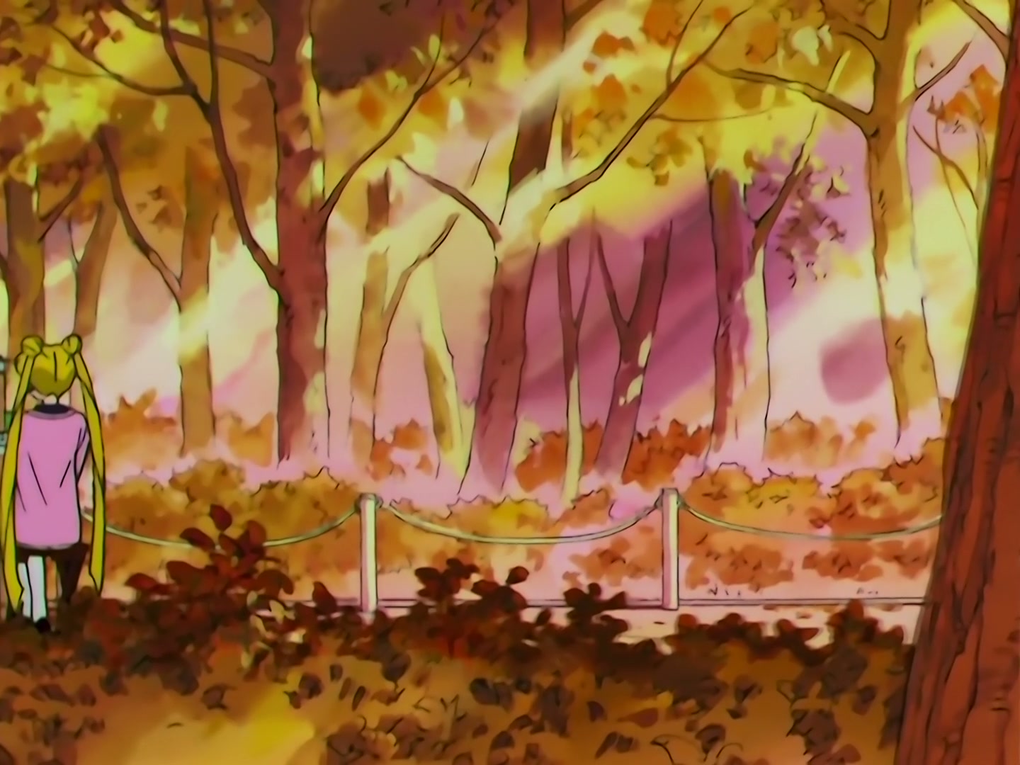 Sailor Moon Ep 156: Don't Lose Sight of Your Dreams: The Mirror of Truth @ 00:05:38