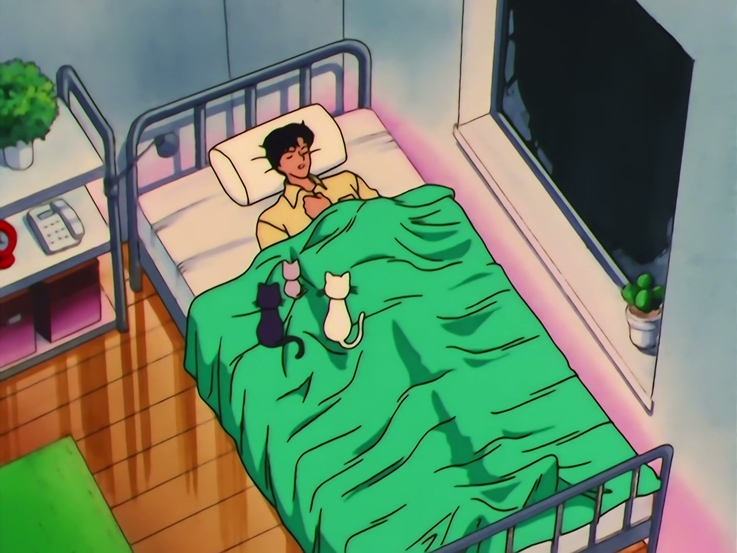 Sailor Moon Ep 165: When the Crystal Shines: The Beautiful Power of Dreams @ 00:05:25