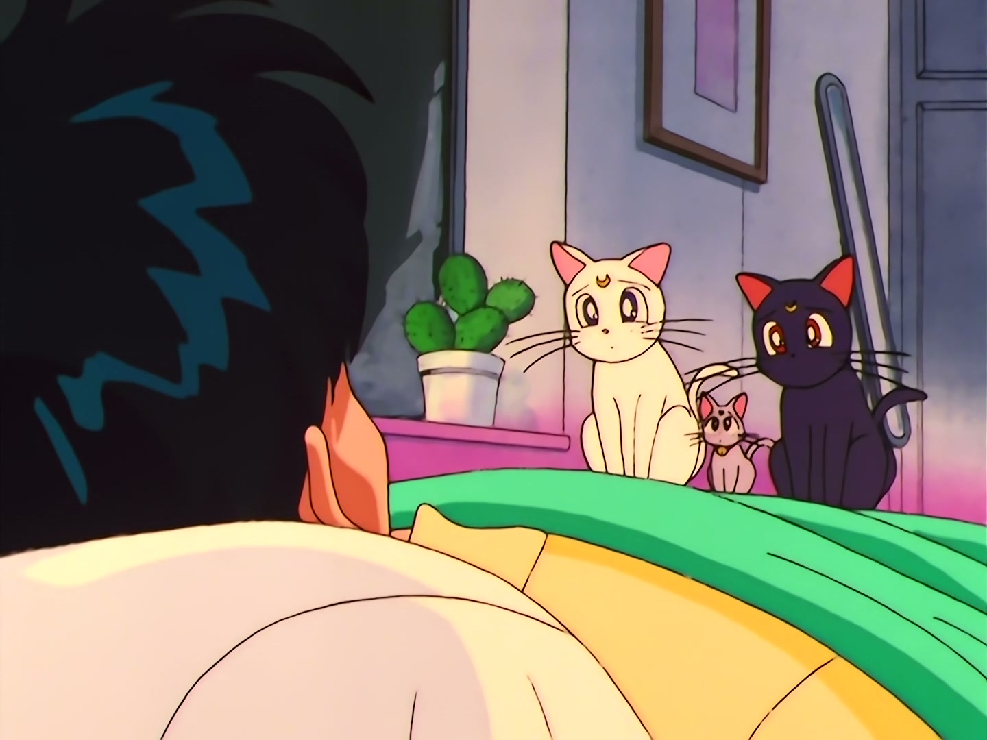 Sailor Moon Ep 165: When the Crystal Shines: The Beautiful Power of Dreams @ 00:09:25