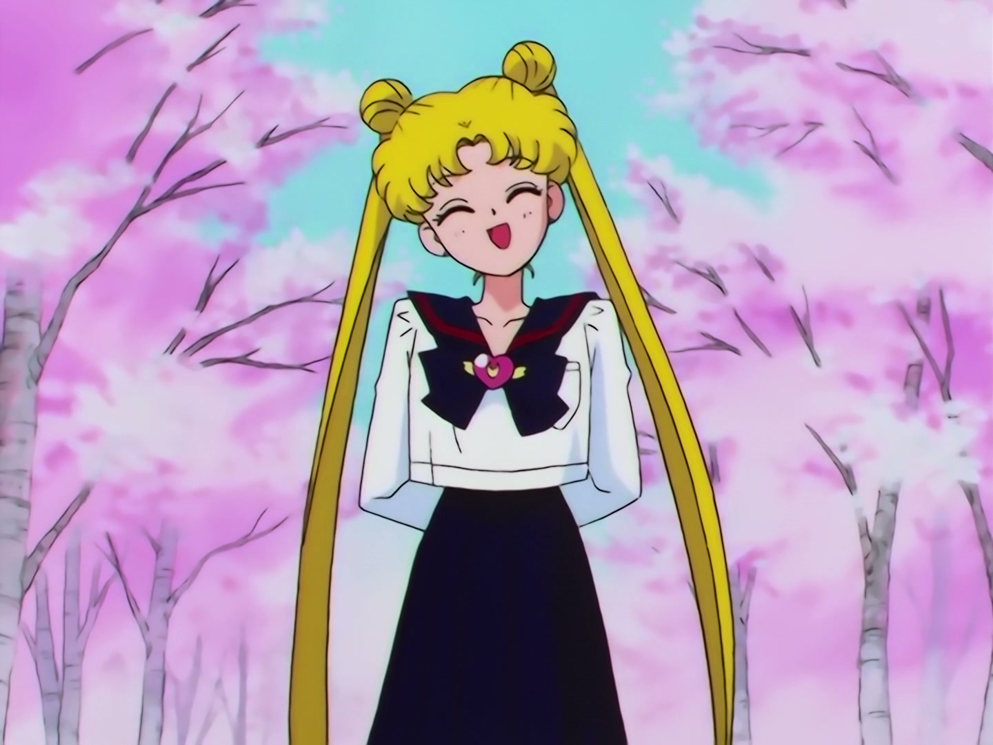 Sailor Moon Ep 167: The Flower of Nightmares Scatters! The Queen of Darkness Returns @ 00:04:04