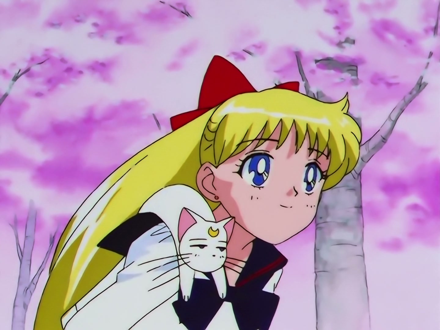 Sailor Moon Ep 167: The Flower of Nightmares Scatters! The Queen of Darkness Returns @ 00:04:55