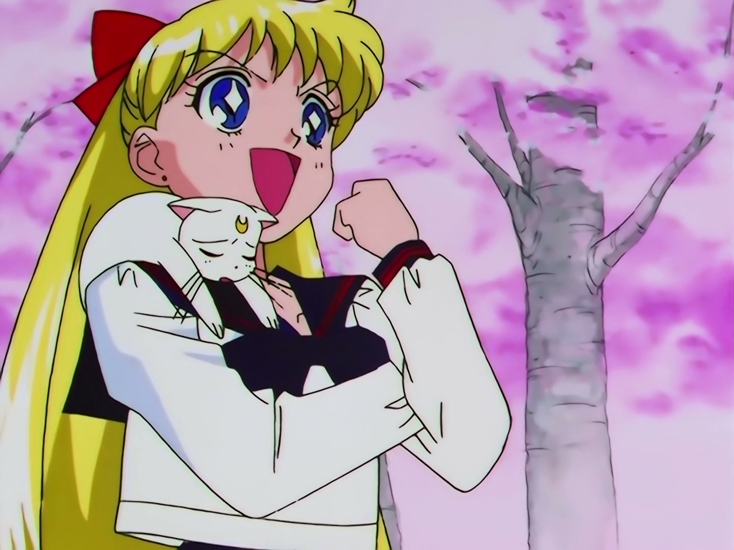 Sailor Moon Ep 167: The Flower of Nightmares Scatters! The Queen of Darkness Returns @ 00:04:59