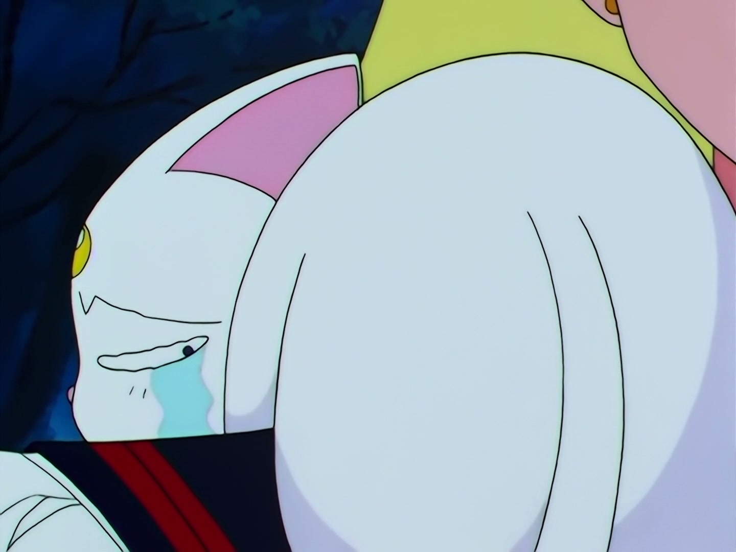 Sailor Moon Ep 167: The Flower of Nightmares Scatters! The Queen of Darkness Returns @ 00:06:50