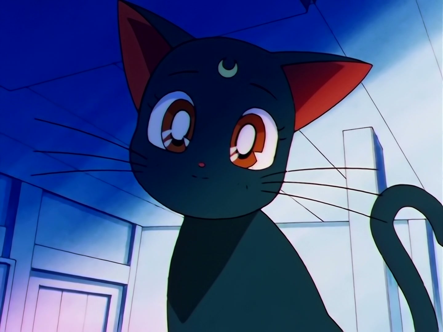 Sailor Moon Ep 173: Farewells and Encounters! The Transitioning Stars of Destiny @ 00:06:29