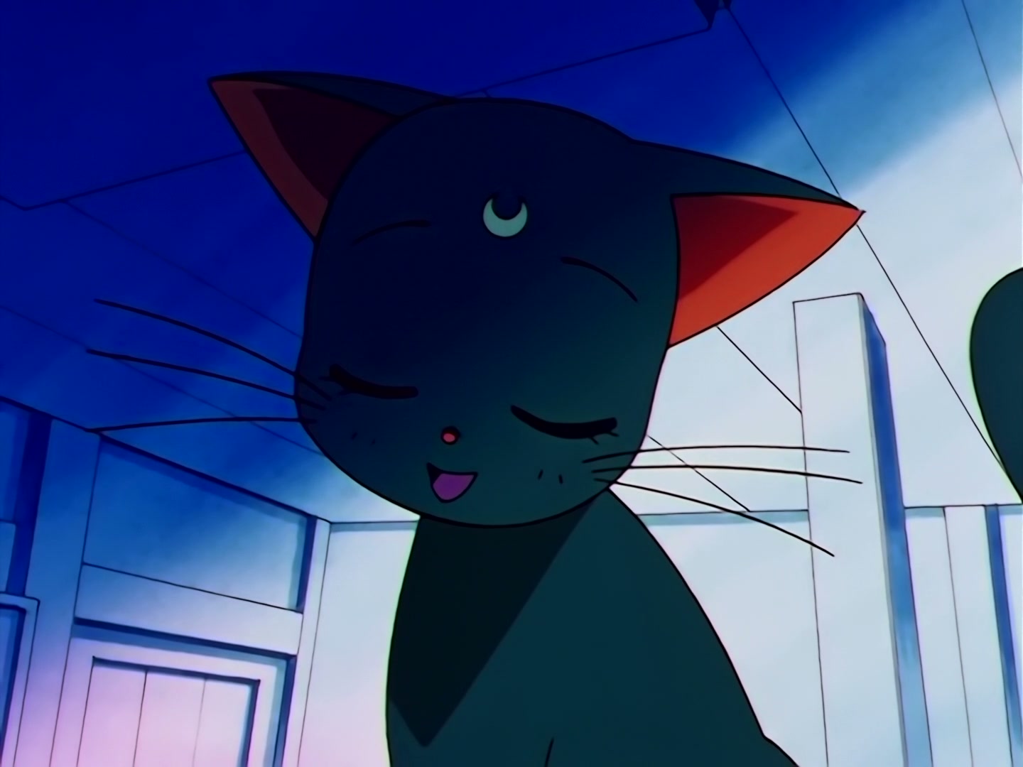 Sailor Moon Ep 173: Farewells and Encounters! The Transitioning Stars of Destiny @ 00:06:33