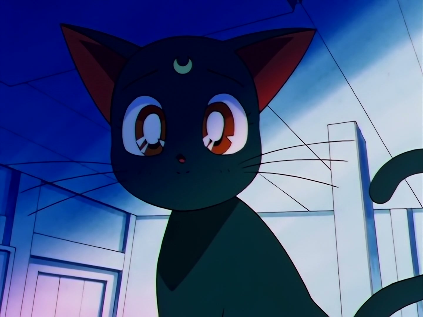 Sailor Moon Ep 173: Farewells and Encounters! The Transitioning Stars of Destiny @ 00:06:38