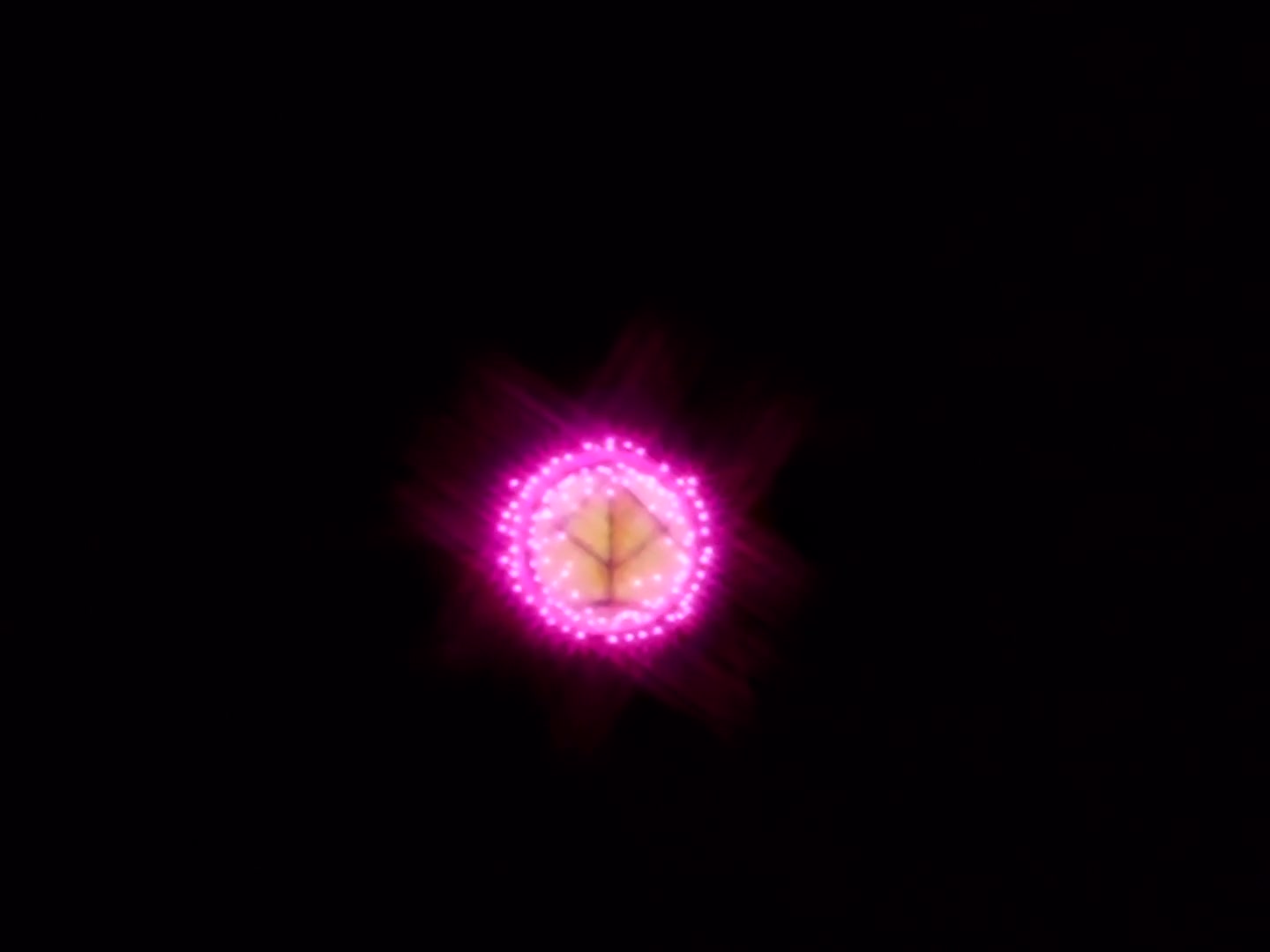 Sailor Moon Ep 174: A School Storm! The Transfer Students Are Idols @ 00:16:41