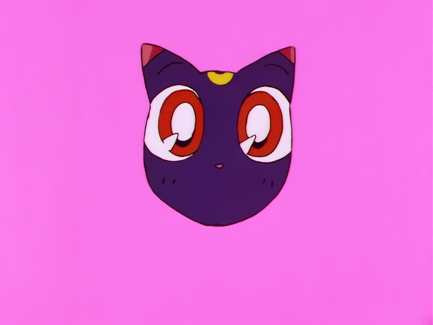 Sailor Moon Ep 174: A School Storm! The Transfer Students Are Idols @ 00:21:49