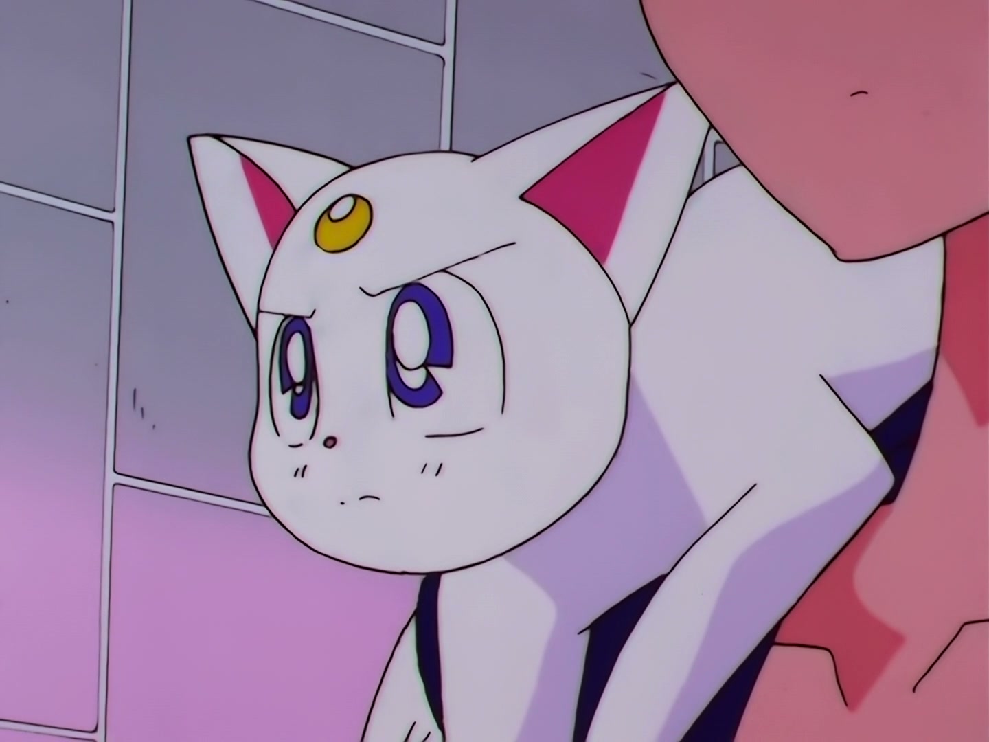 Sailor Moon Ep 178: Luna's Discovery: The Real Face of Yaten @ 00:01:51