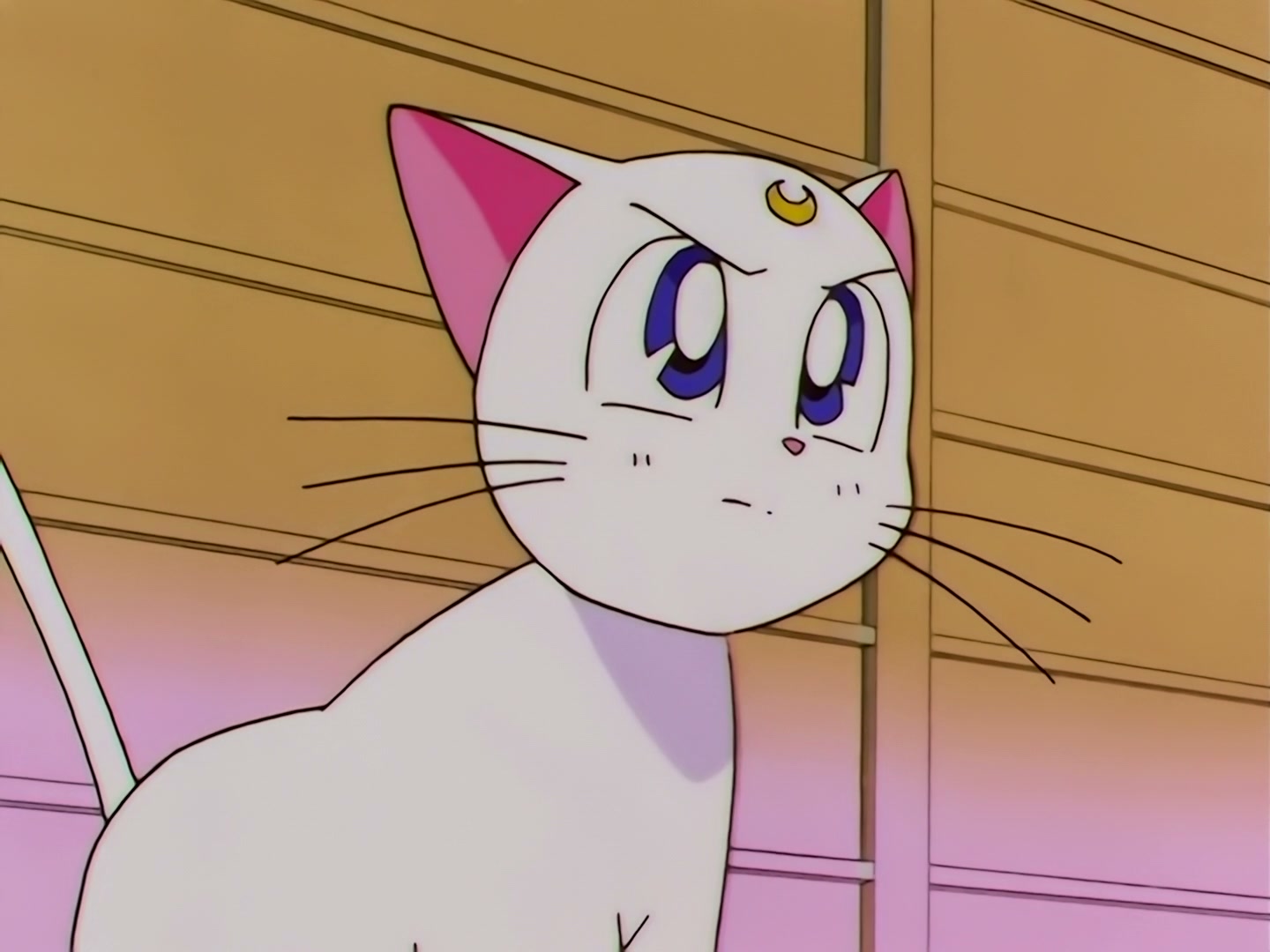 Sailor Moon Ep 178: Luna's Discovery: The Real Face of Yaten @ 00:05:08
