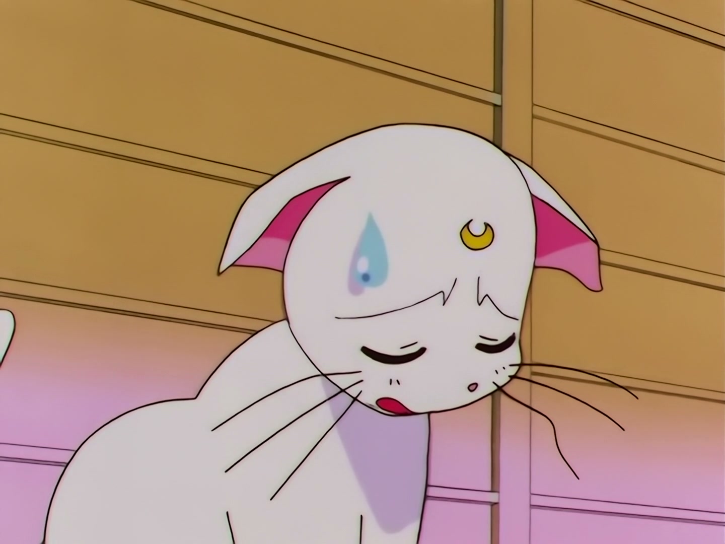 Sailor Moon Ep 178: Luna's Discovery: The Real Face of Yaten @ 00:05:17
