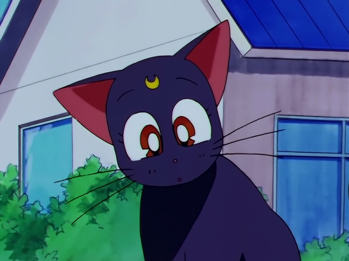 Sailor Moon Ep 178: Luna's Discovery: The Real Face of Yaten @ 00:05:47