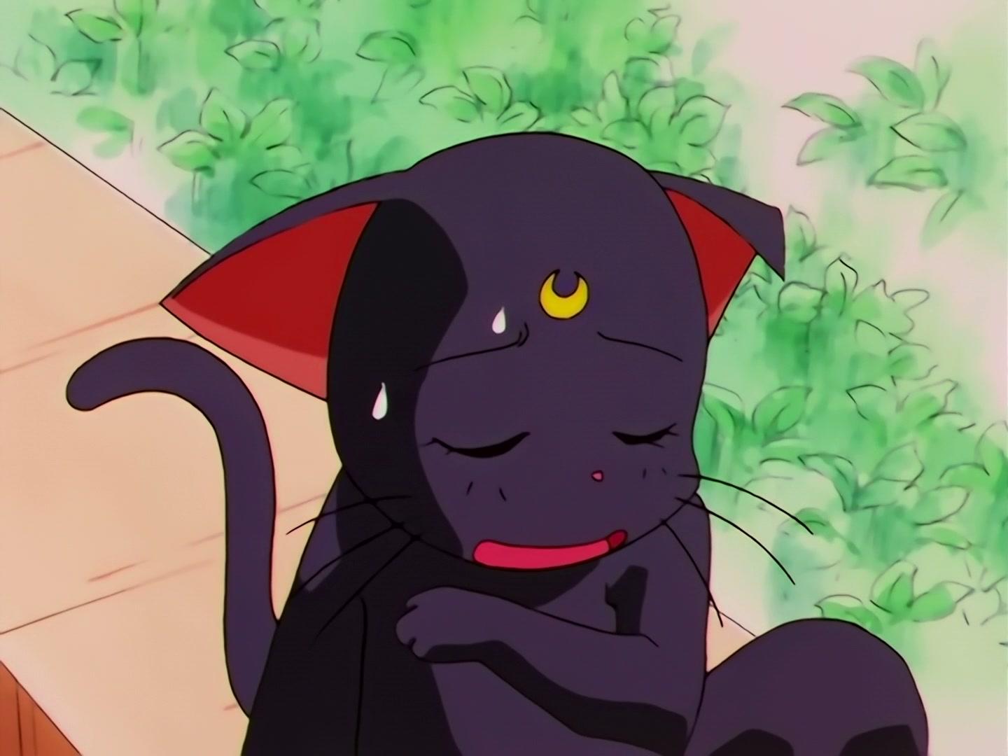 Sailor Moon Ep 178: Luna's Discovery: The Real Face of Yaten @ 00:06:00