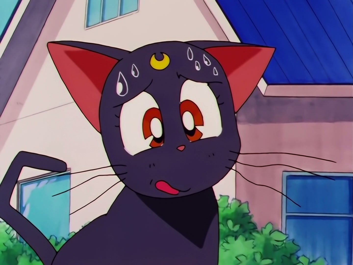 Sailor Moon Ep 178: Luna's Discovery: The Real Face of Yaten @ 00:06:38