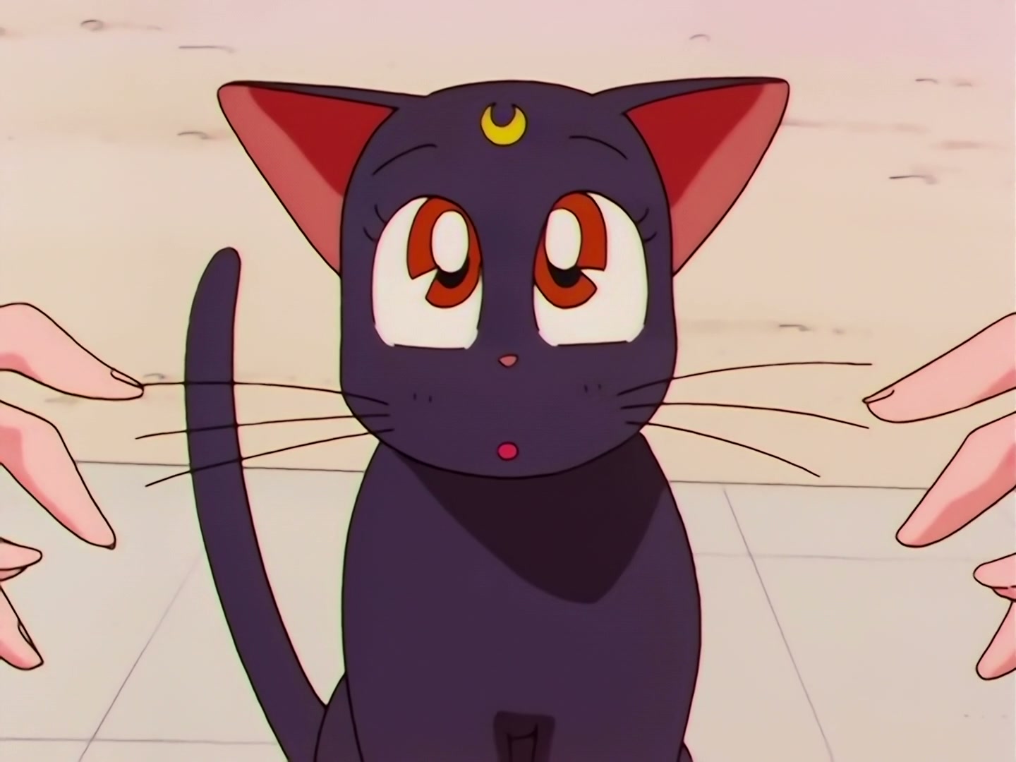 Sailor Moon Ep 178: Luna's Discovery: The Real Face of Yaten @ 00:06:51