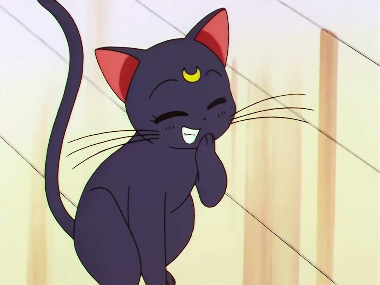 Sailor Moon Ep 186: Chibi-Chibi's Mystery: The Big Noisy Chase @ 00:03:55