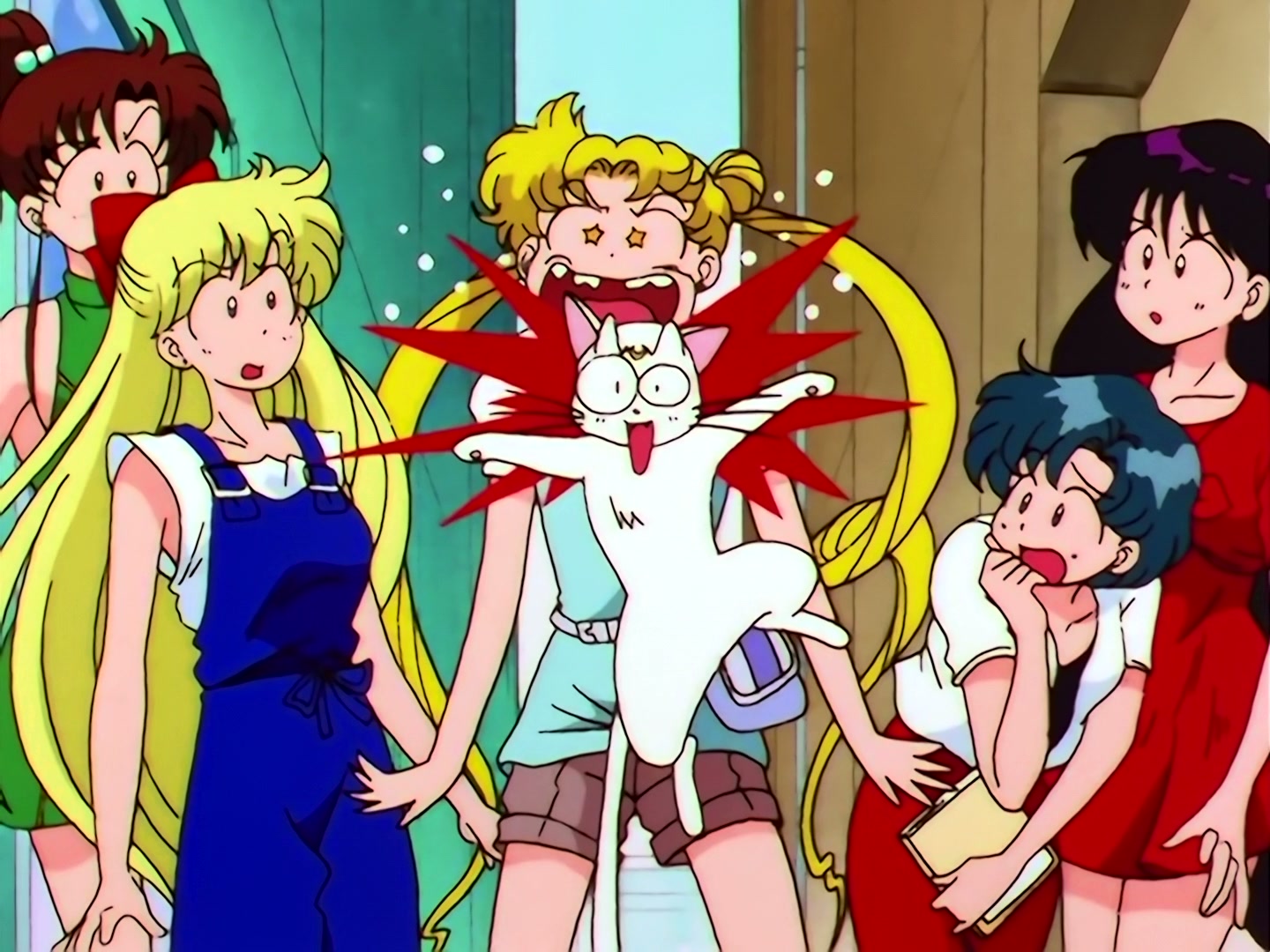 Sailor Moon Ep 186: Chibi-Chibi's Mystery: The Big Noisy Chase @ 00:07:25
