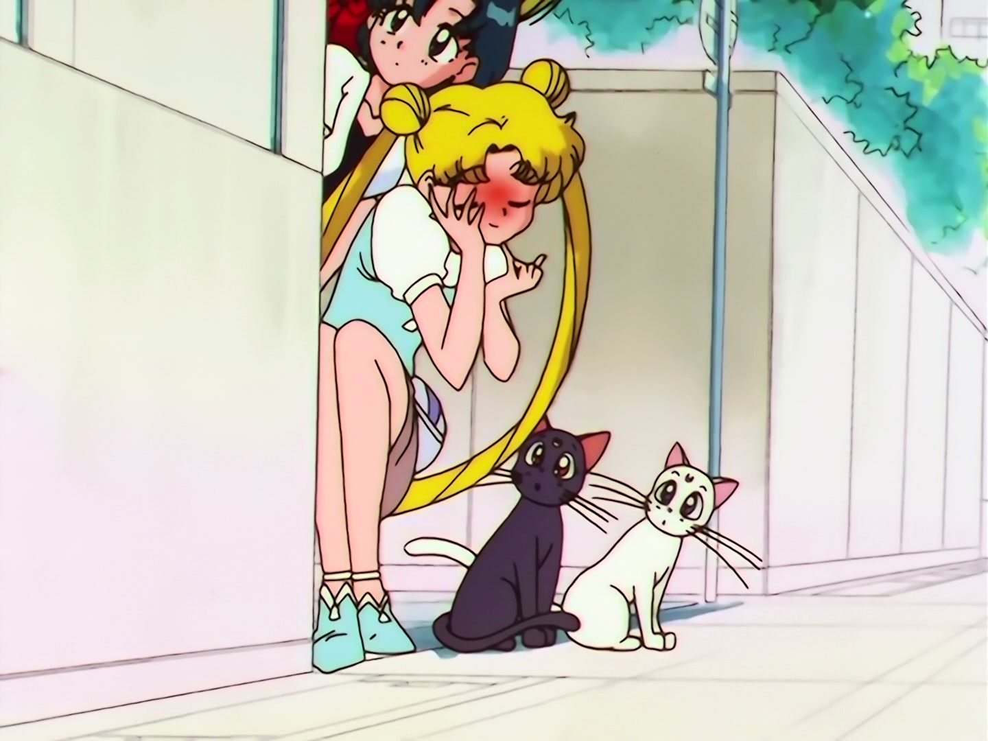 Sailor Moon Ep 186: Chibi-Chibi's Mystery: The Big Noisy Chase @ 00:08:16