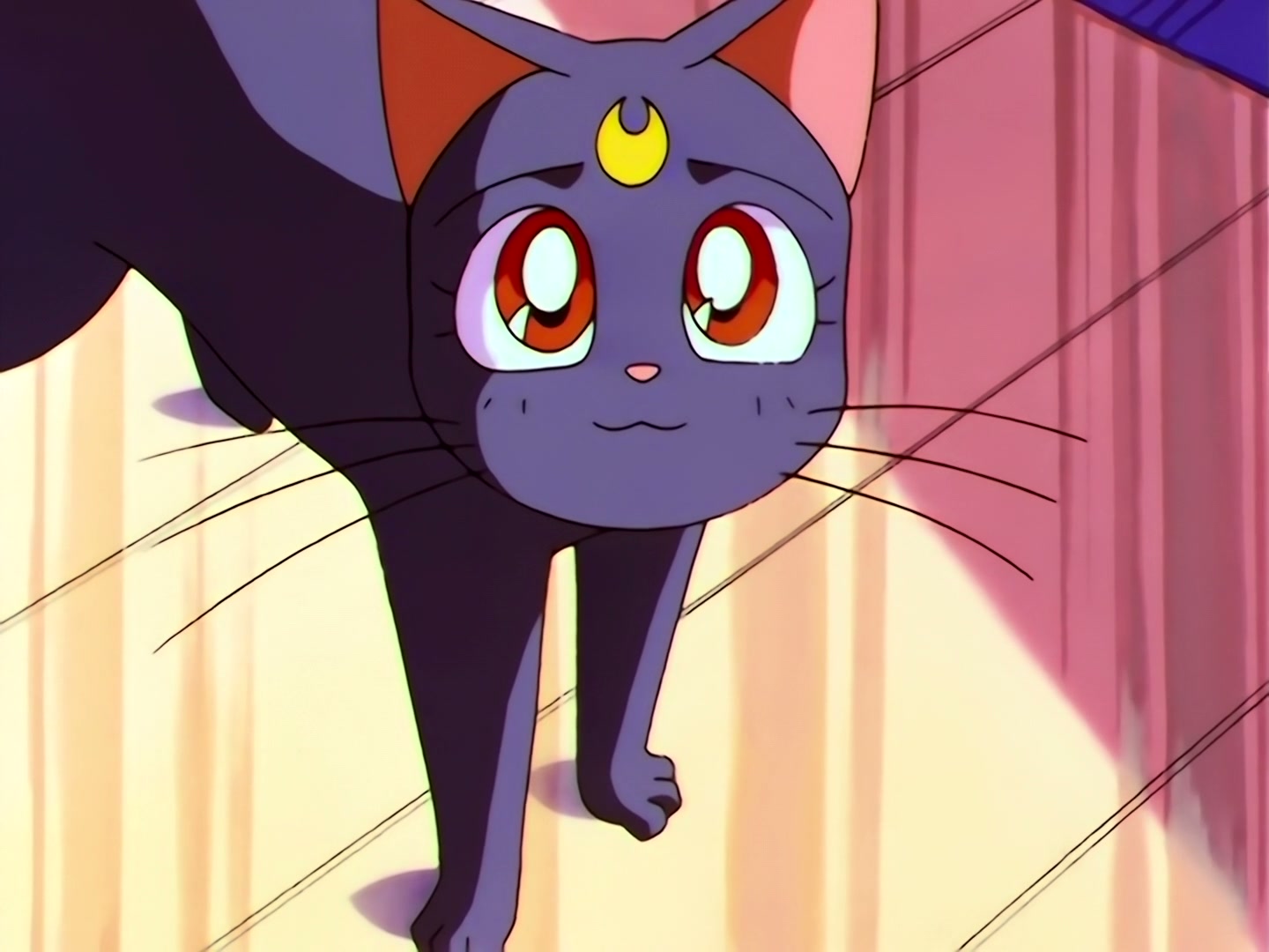 Sailor Moon Ep 190: Truth Revealed! The Star Lights' Past @ 00:10:24