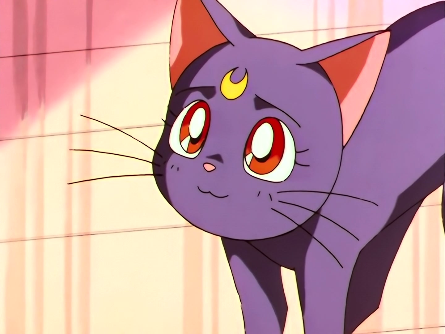 Sailor Moon Ep 190: Truth Revealed! The Star Lights' Past @ 00:10:29
