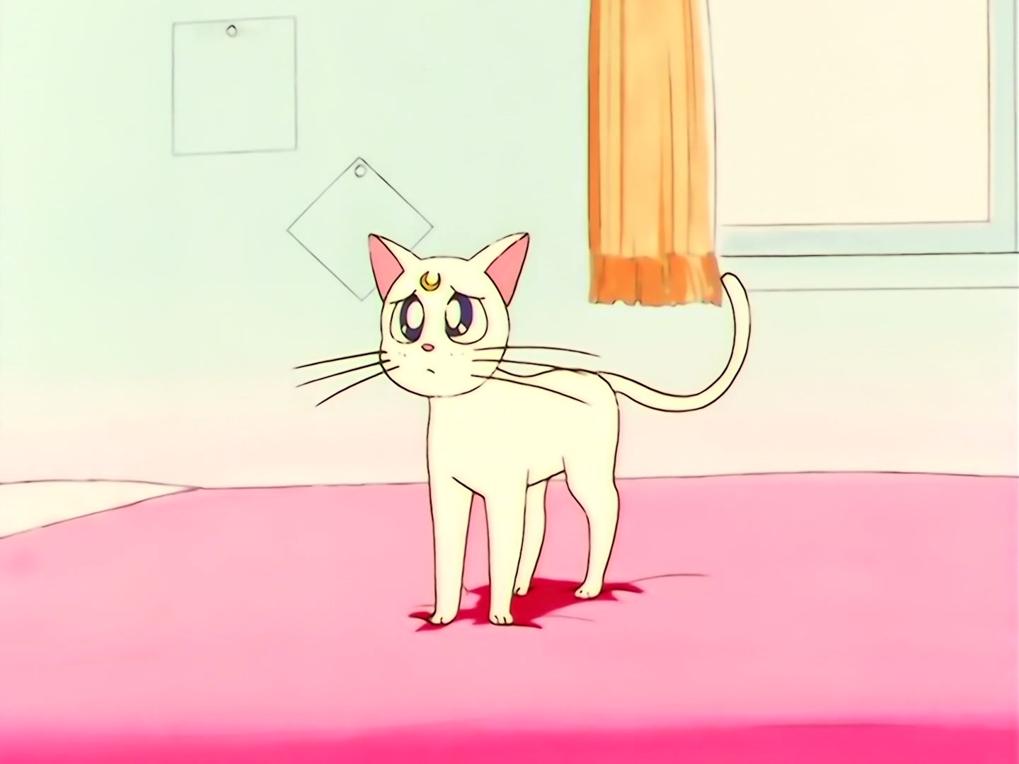 Sailor Moon Ep 192: Go for your Dream! Minako Becomes an Idol?! @ 00:02:34