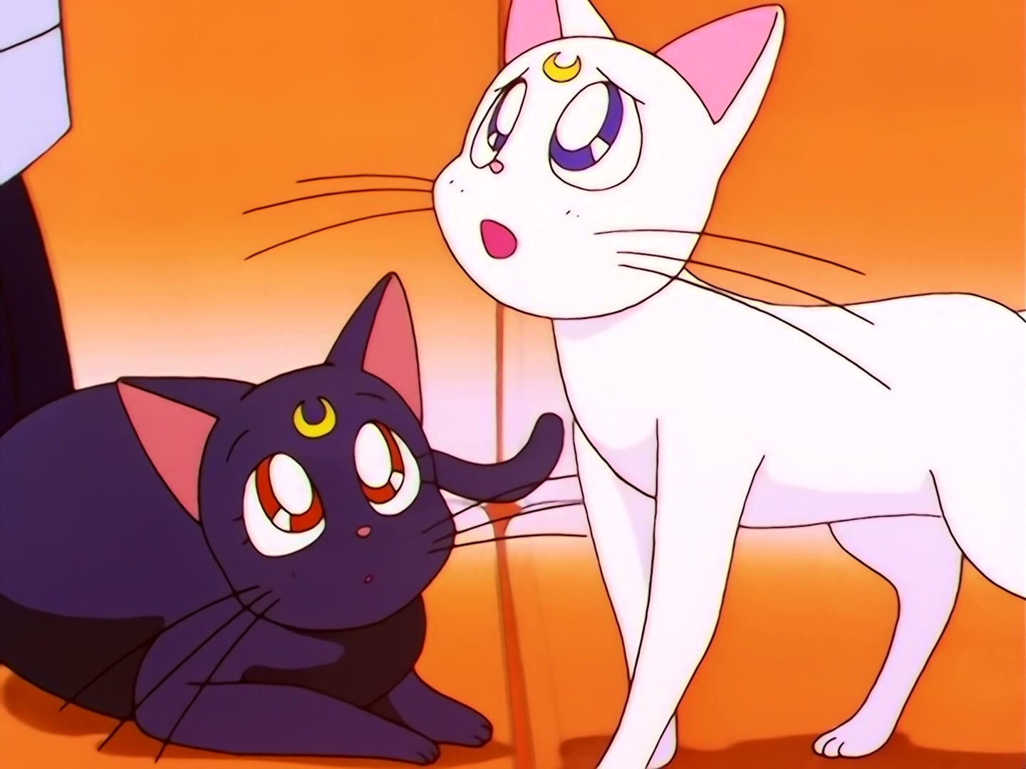 Sailor Moon Ep 192: Go for your Dream! Minako Becomes an Idol?! @ 00:03:59