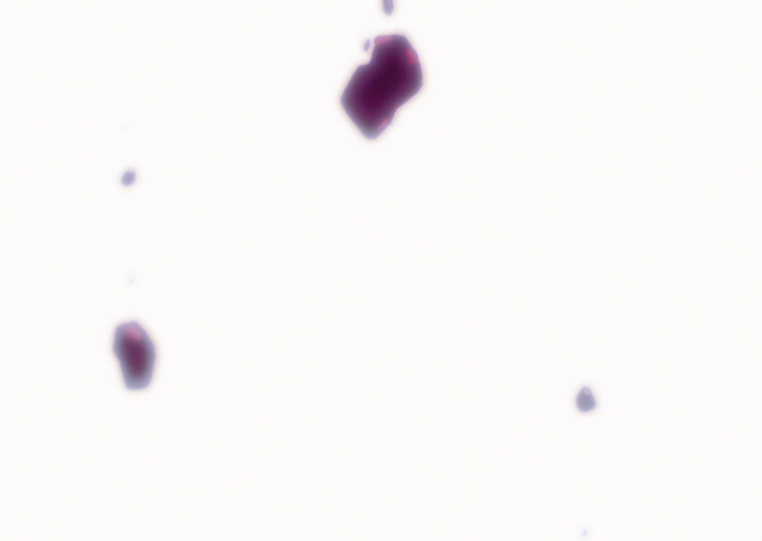 Serial Experiments Lain Ep 1: Weird @ 00:17:48