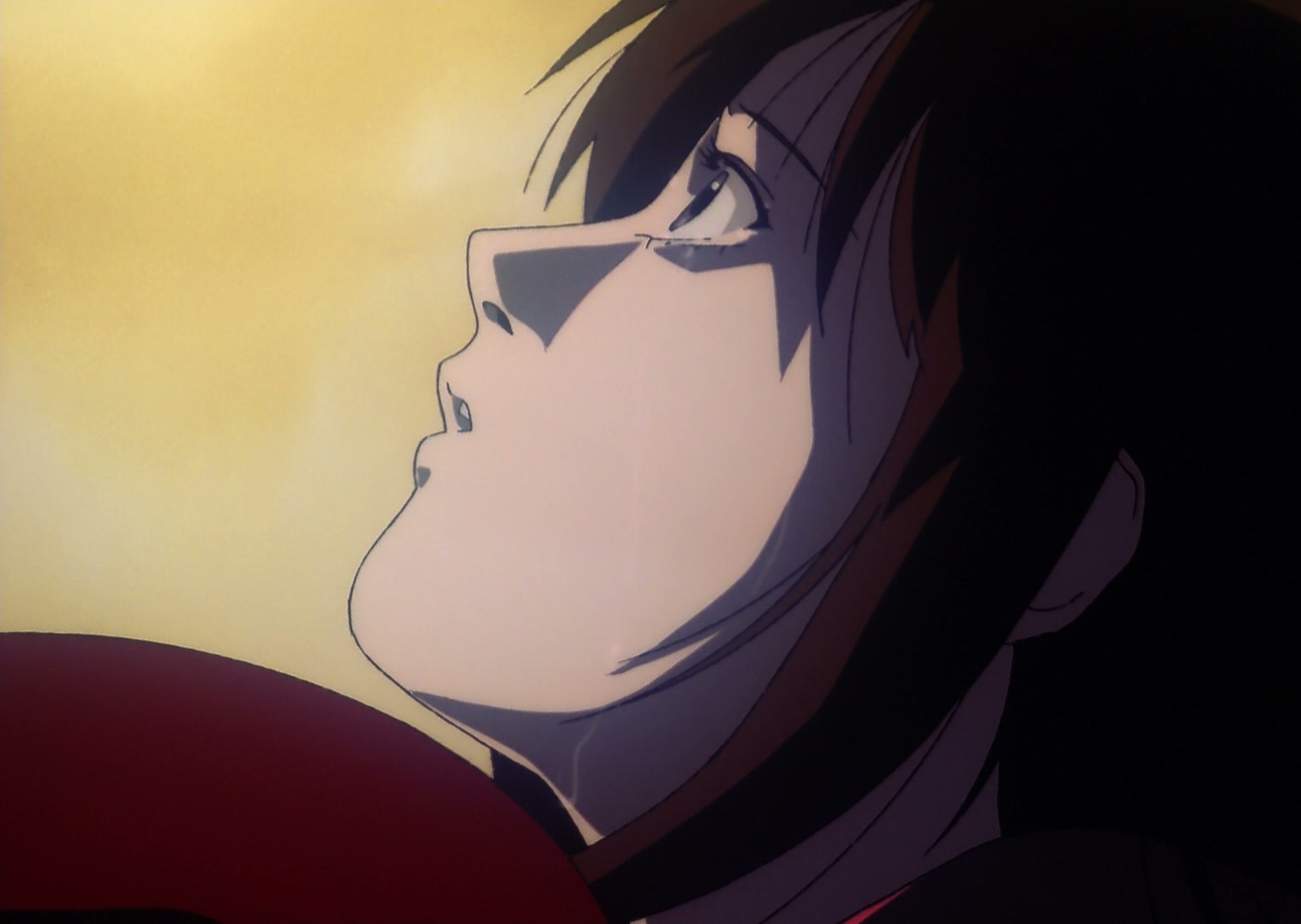 Serial Experiments Lain Ep 13: Ego @ 00:04:00