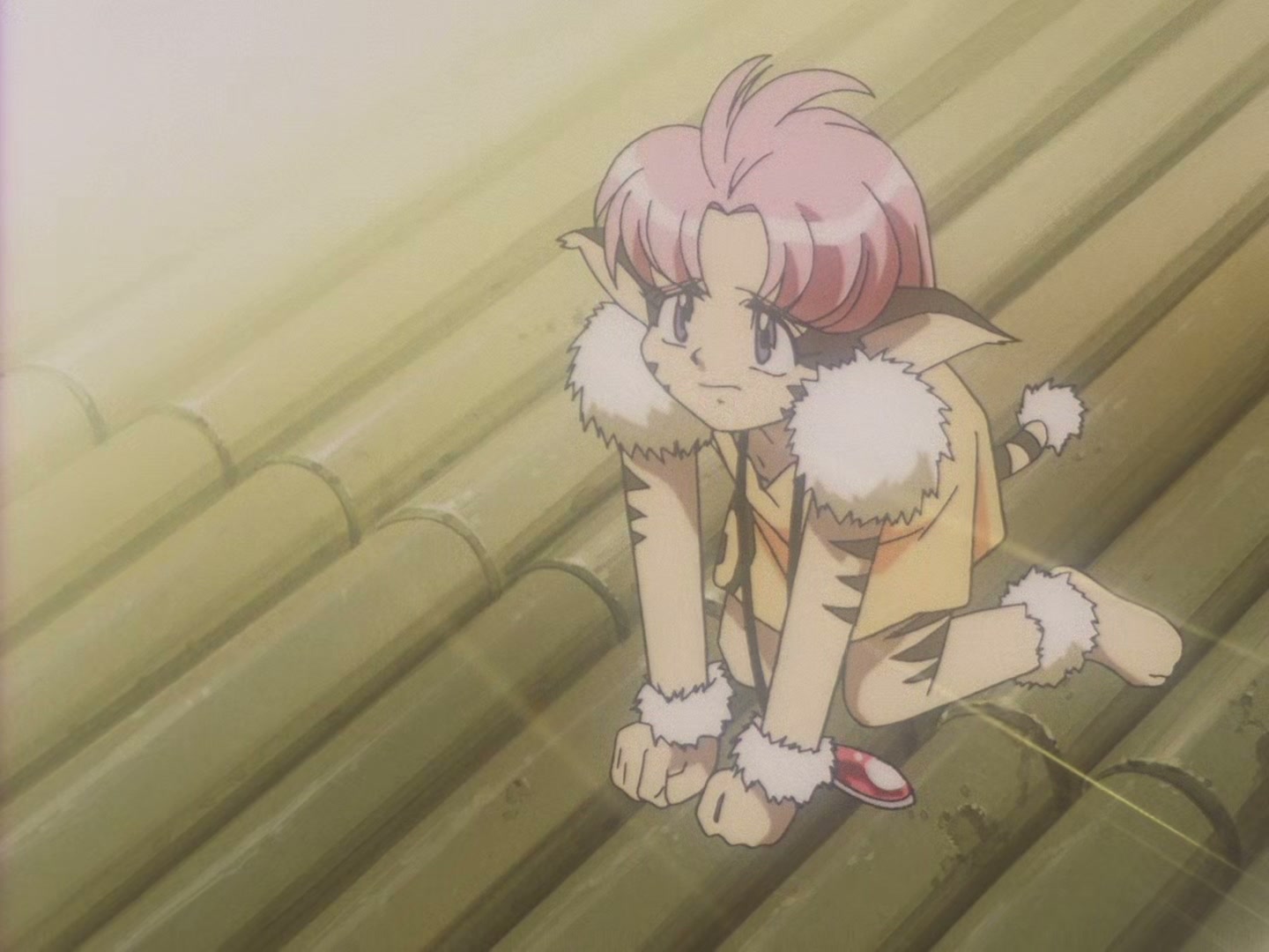 The Vision of Escaflowne Ep 9: Memories of a Feather @ 00:05:30
