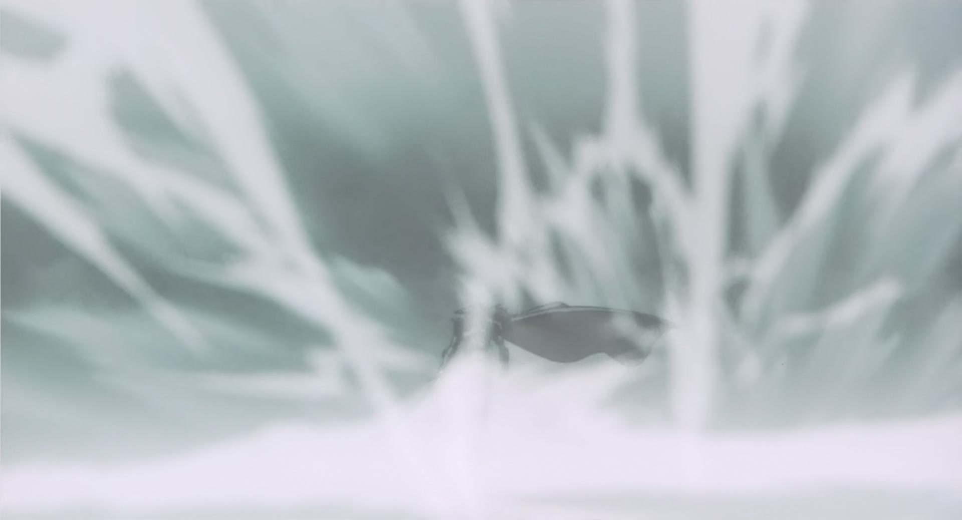 Vampire Hunter D: Bloodlust Ep 1: Vampire Hunter D: Bloodlust @ 01:22:19